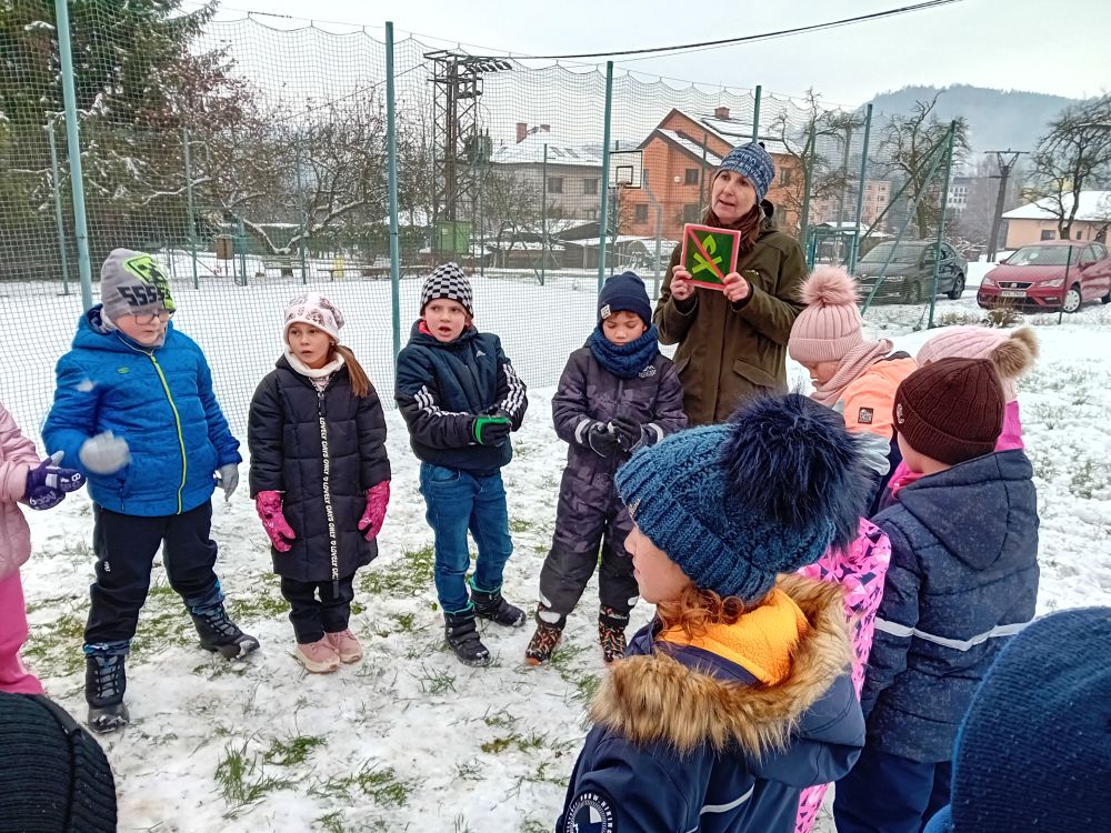 Lesní pedagogika